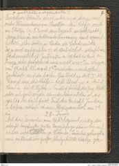 Seite 11, Tagebuch "Palästina (Tagebuch)" (NHMW-PRAE-BBB-80)